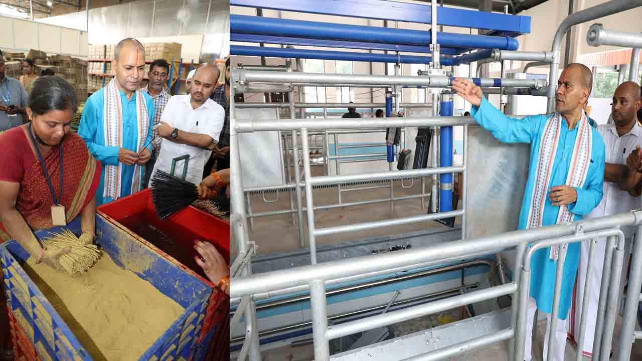 TTD Goshala: ఎస్వీ గోశాలను పరిశీలించిన టీటీడీ ఈవో ఏకే సింఘాల్