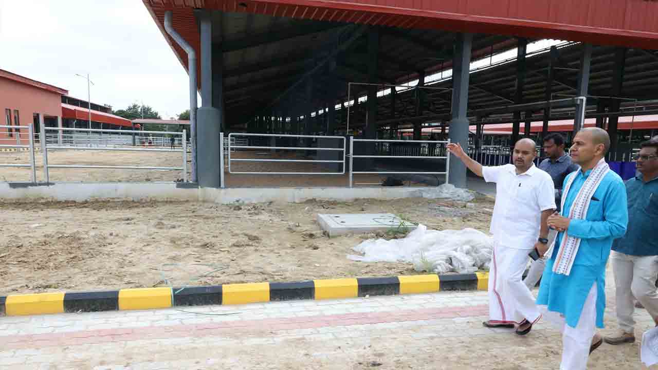 TTD Goshala: ఎస్వీ గోశాలను పరిశీలించిన టీటీడీ ఈవో ఏకే సింఘాల్