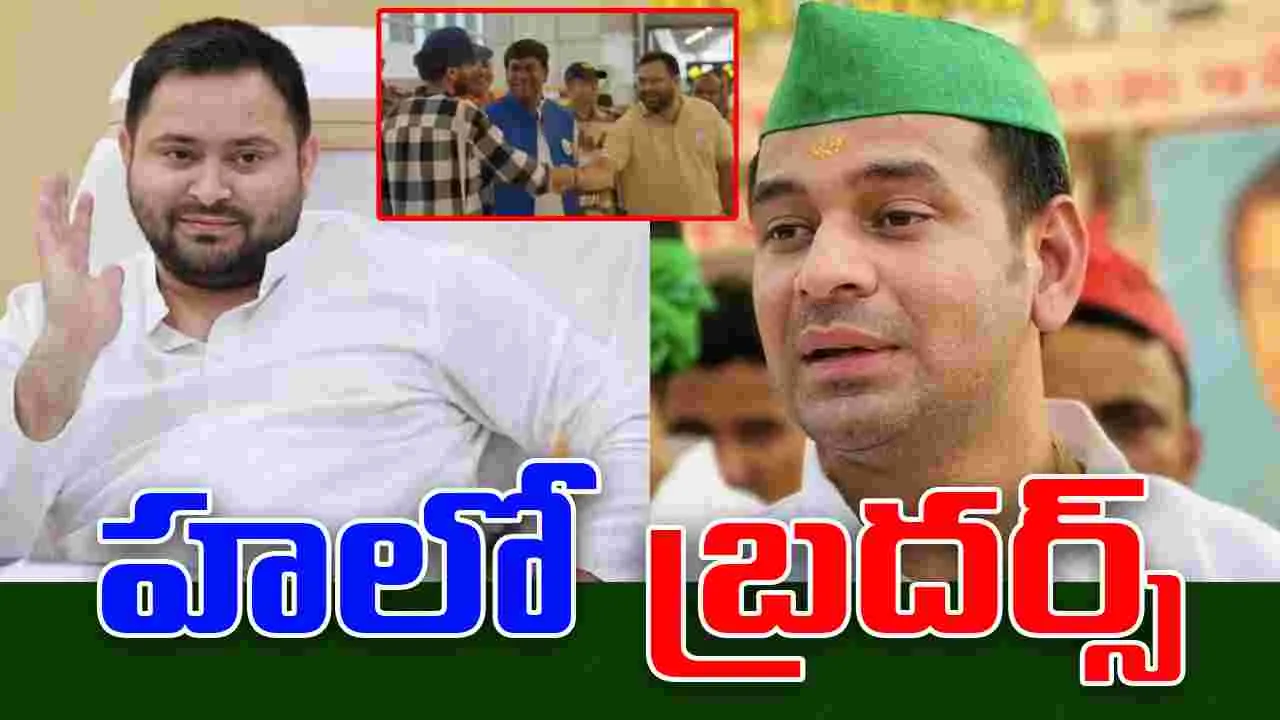 Viral Video: అనుకోకుండా కలిసిన బ్రదర్స్.. ఏం జరిగిందంటే..