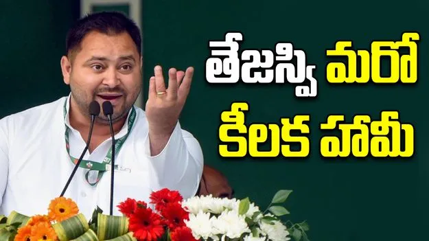 Bihar Elections: రూ.30,000 జీతంతో ఉద్యోగాలు పర్మనెంట్ చేస్తాం... తేజస్వి హామీ