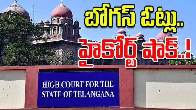 High Court On Bogus Votes: బోగస్ ఓట్లపై పిటీషన్.. హైకోర్ట్ కీలక వ్యాఖ్యలు