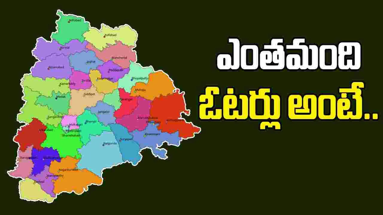 Telangana Voters: తెలంగాణలో ఎంతమంది ఓటర్లు ఉన్నారంటే..
