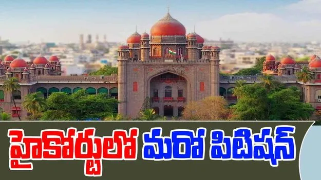 Local Body Elections: స్థానిక సంస్థల ఎన్నికలపై హైకోర్టులో విచారణ.. ప్రభుత్వం, ఈసీకి సూటి ప్రశ్న