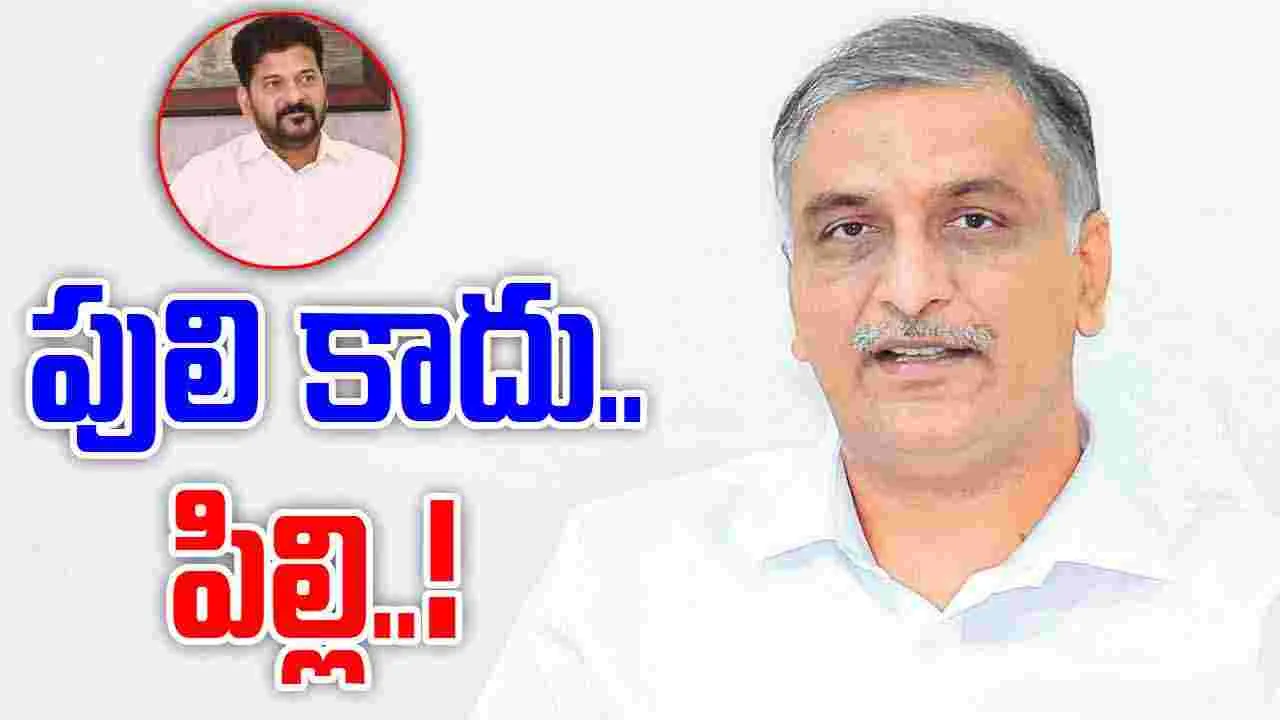 Telangana Water Row: బనకచర్ల వివాదం.. రేవంత్‌కు హరీష్ సూటి ప్రశ్న