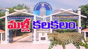 Tirupati Leopard: తిరుపతి ఎస్వీ యూనివర్సిటీలో మరోసారి చిరుత కలకలం.. 