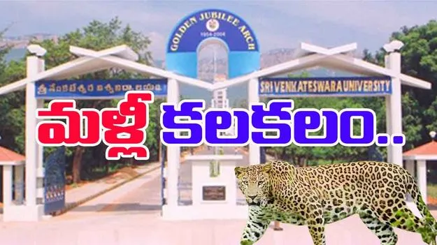 Tirupati Leopard: తిరుపతి ఎస్వీ యూనివర్సిటీలో మరోసారి చిరుత కలకలం.. 