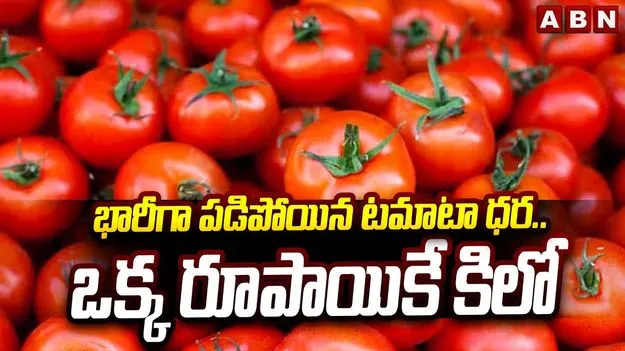 Tomato Falling Prices: భారీగా పతనమైన టమాటా ధర.. ధర్నాకు దిగిన రైతులు