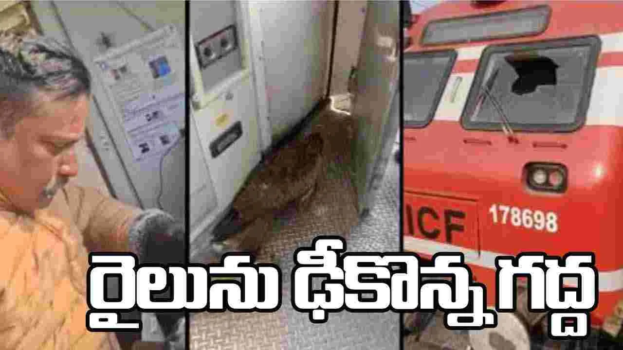 Eagle Strike Injures Loco Pilot:  రైలును ఢీకొన్న గద్ద.. లోకో పైలట్‌కు గాయాలు.. 