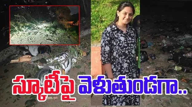Tree Falls On Two Wheeler: స్కూటీపై వెళుతుండగా విషాదం.. చెట్టు విరిగిపడ్డంతో.. 