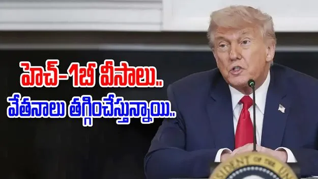 H1B Visa News: H-1B వీసా విధానంపై పిటిషన్లు.. సమర్థించుకోవడానికి సిద్ధమవుతున్న వైట్‌హౌస్.. 