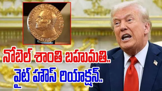 White House On Nobel Prize: ట్రంప్‌కు శాంతి బహుమతి దక్కకపోవడంపై స్పందించిన వైట్ హౌస్ 