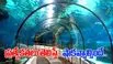 Underwater River Metro: దేశంలో తొలి అండర్ వాటర్ రివర్ మెట్రో.. ప్రత్యేకతలు ఇవే! 