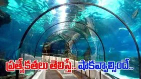 Underwater River Metro: దేశంలో తొలి అండర్ వాటర్ రివర్ మెట్రో.. ప్రత్యేకతలు ఇవే! 