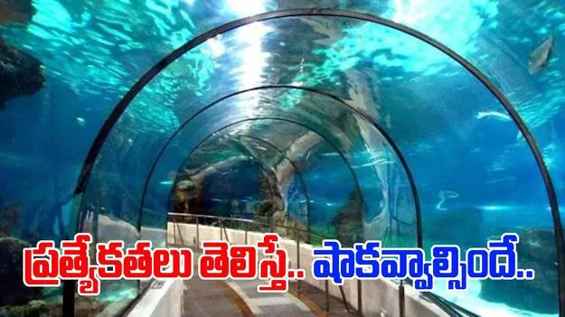 Underwater River Metro: దేశంలో తొలి అండర్ వాటర్ రివర్ మెట్రో.. ప్రత్యేకతలు ఇవే! 
