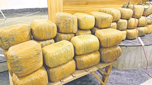 Cannabis Seizure: శ్రీకాకుళం జిల్లాలో 209 కిలోల గంజాయి స్వాధీనం