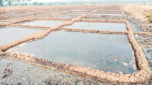 ‘ఉప్పు’డేమంటారో!