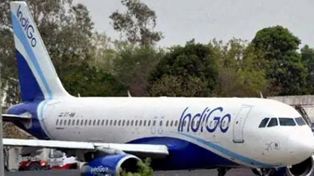 Indigo Flight: విమానంలో పగిలిన అద్దం.. 76 మందికి తప్పిన ముప్పు 
