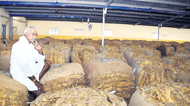 పొగాకు మార్కెట్‌ తిరోగమనం