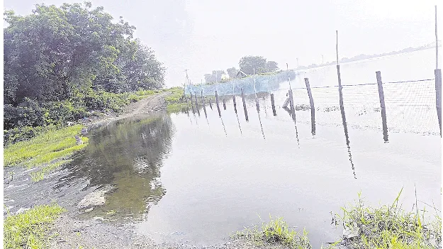 మత్స్య మర్మం..!