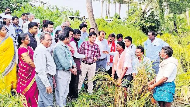 Farmers: ఆదుకోండి