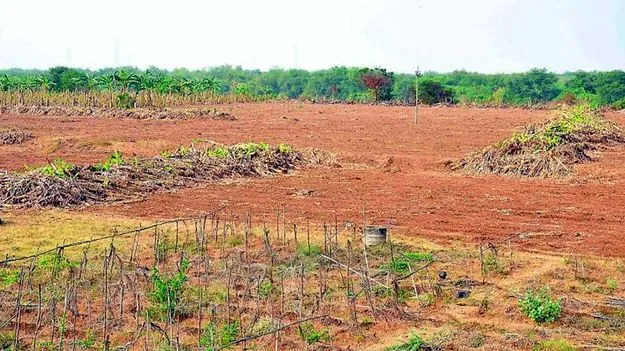 APDPMS: ఇక ఆన్‌లైన్‌లో భూ వినియోగ మార్పు 