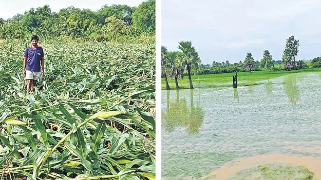 Heavy Rainfall: దంచికొట్టిన వాన