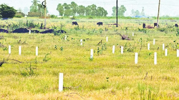 AP Land Management Authority: లక్ష కోట్ల భూములు ఏమయ్యాయి