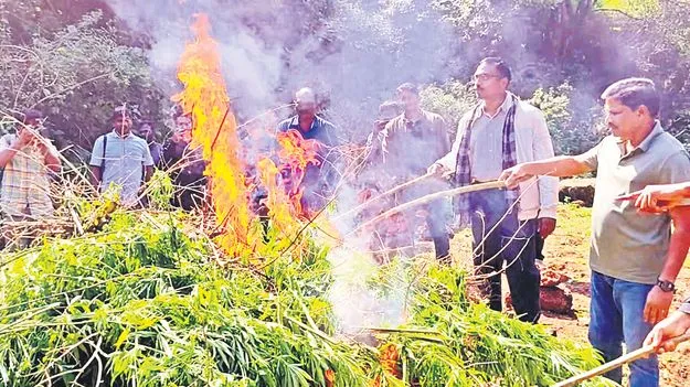 Anti Drug Operations: మత్తు వదిలింది 