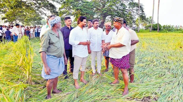 Compensation: పంటల బీమాపై జగన్‌ ప్రగల్భాలు