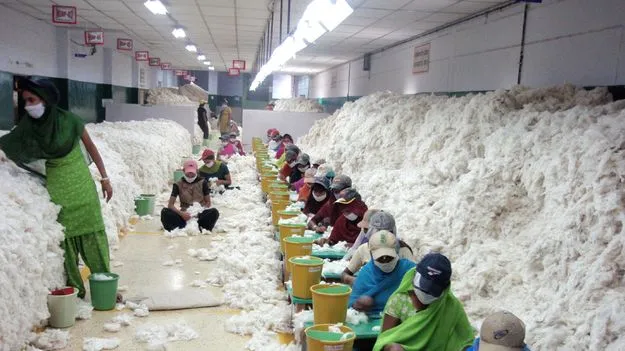 CCI Malividatha Tender: సీసీఐ మలివిడత టెండర్‌లోనూ వీడని ప్రతిష్ఠంభన