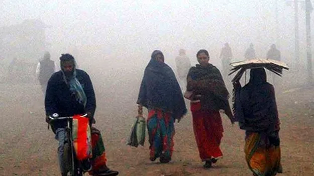 Cold Temperature: కోస్తా, సీమలో పెరగనున్న చలి
