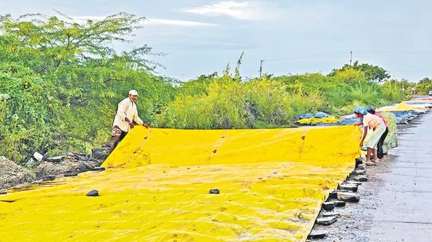 IMD Warning: ముంచుకొస్తున్న మొంథా