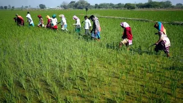 Farmer Awareness: పంటల బీమాపై రైతులకు విశ్వాసం కల్పించండి