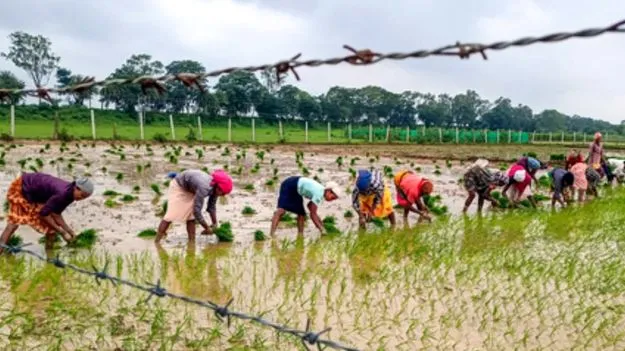 Kharif Crop Registration: ఈ-పంట.. వీఏఏలకు తంటా