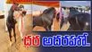 Pushkar Cattle Fair: రూ. 15 కోట్ల ‘షాబాజ్’.. రూ. 23 కోట్ల ‘అన్మోల్’