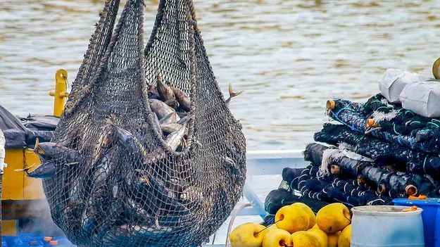 Fishing Guidelines: చేపల వేటపై కేంద్రం తాజా మార్గదర్శకాలు