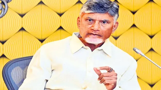 CM Chandrababu Naidu: పార్టీ అండ లేకుండా  నెగ్గగలరా