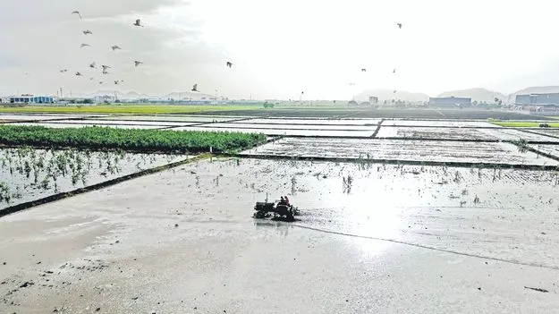  Municipal Department: ఈడీసీ మొత్తం మౌలిక వసతులకే