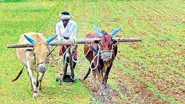 President of Praja Chaitanya Vedika: రైతుల పేర్లు వెబ్‌ల్యాండ్‌లో నమోదు కావడం లేదు