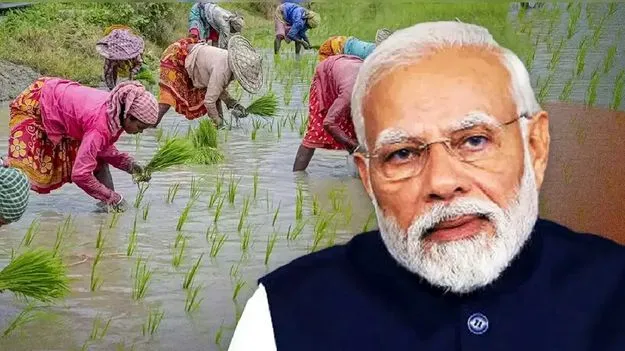 Agriculture Department: నేటి నుంచి ధనధాన్య కృషి యోజన