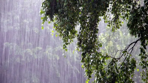  Flood Alerts: నేడు, రేపు వర్షాలు.. ఉత్తరాంధ్రలో భారీగా