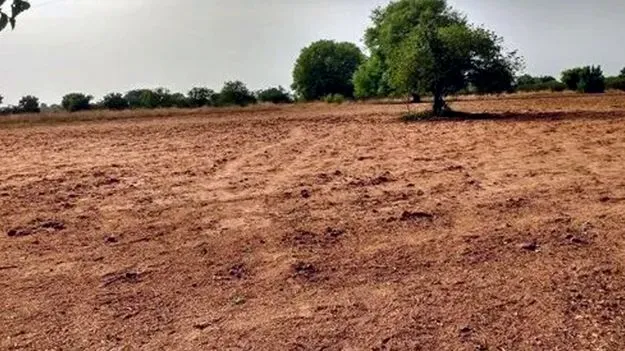 Land Allocation: ఆ కంపెనీలకు 4 ఎకరాలే