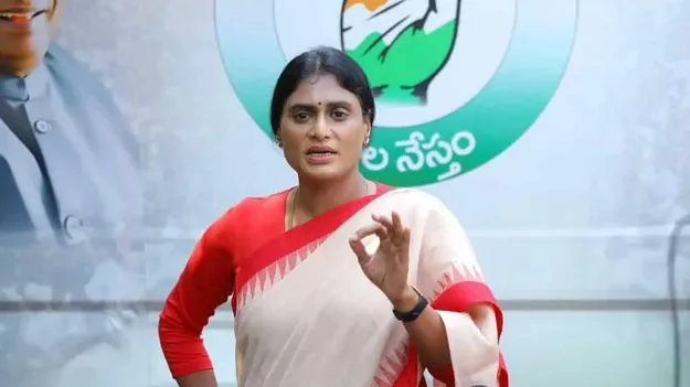 బల్క్‌ డ్రగ్‌ పార్కుపై ఉన్నత స్థాయి కమిటీ వేయాలి: షర్మిల