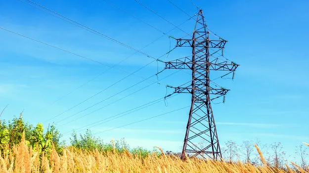 Electricity Department: అటవీశాఖ అడిగితేనే చేస్తున్నాం