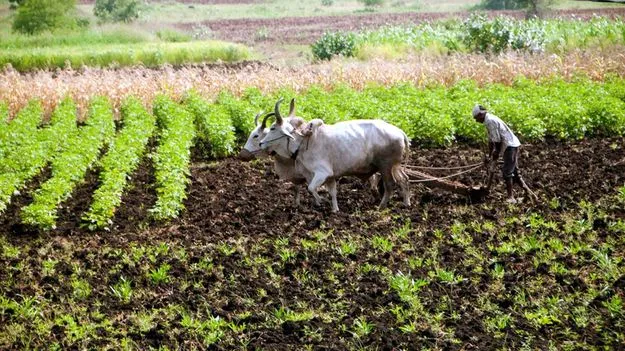 Land Disputes: జగన్‌ దెబ్బకు రైతులు విలవిల