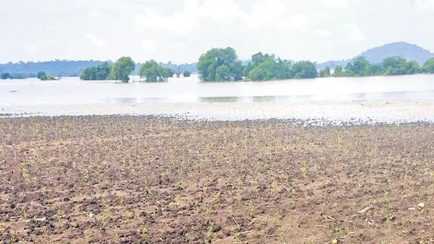 Weather Update: బంగాళాఖాతంలో అల్పపీడనం