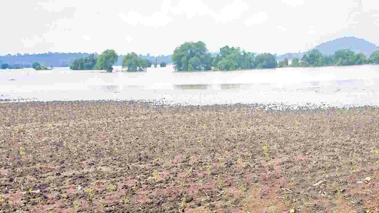 Weather Update: బంగాళాఖాతంలో అల్పపీడనం