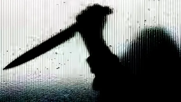 Family Dispute: భార్య, మామ, బావమరిదిపై దాడి