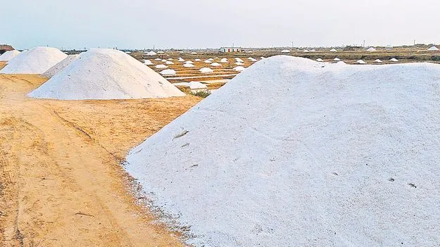 Salt Production: కరిగిపోతున్న ఉప్పు రైతు కష్టం