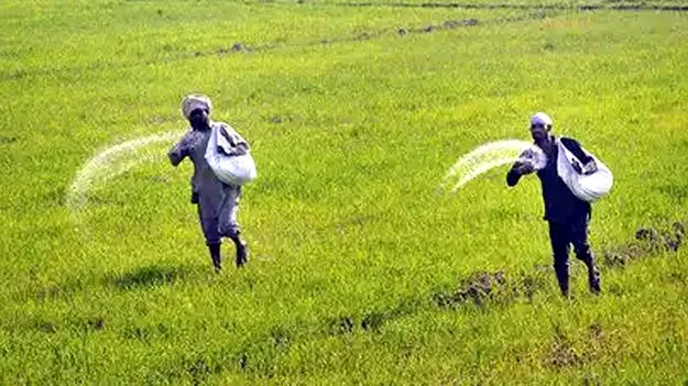 రబీ నుంచి ఓటీపీతోనే ఎరువులు: రాజశేఖర్‌